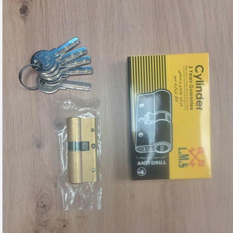 سیلندر(مغزی درب) برنجی کلید کامپیوتری تسمه دار LMS